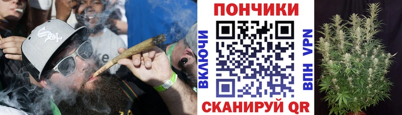 Шишки марихуана OG Kush  MEGA зеркало  Бокситогорск  закладки 